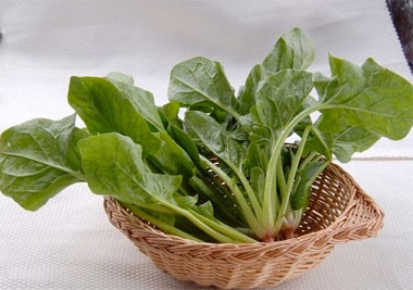 	[萬康飲食]夏季降火(huǒ)應多(duō)吃(chī)的(de)三類蔬菜