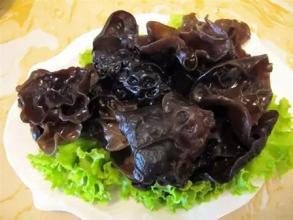 大(dà)蒜木(mù)耳不(bù)是(shì)随便吃(chī)的(de)!請(qǐng)認真讀(dú)一(yī)下(xià)!