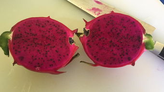 如(rú)何選擇新鮮火(huǒ)龍果?